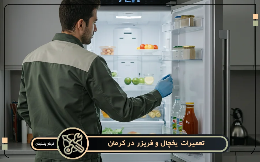 نمایندگی تعمیرات یخچال آاگ در کرمان